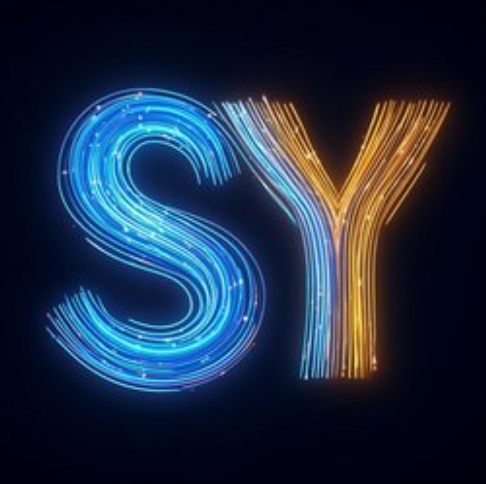 闪跃 SY 品牌图