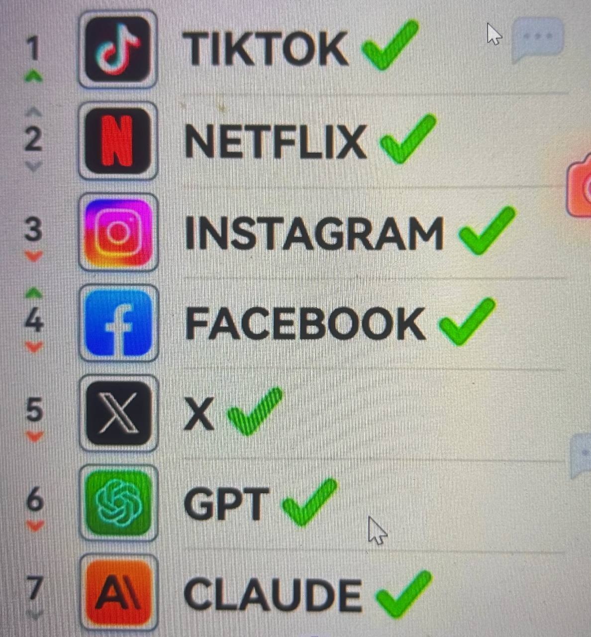 快狸用户提供的单次服务状态截图,TikTok、Netflix、Instagram、Facebook、X、GPT 与 Claude 名称旁显示绿色勾选
